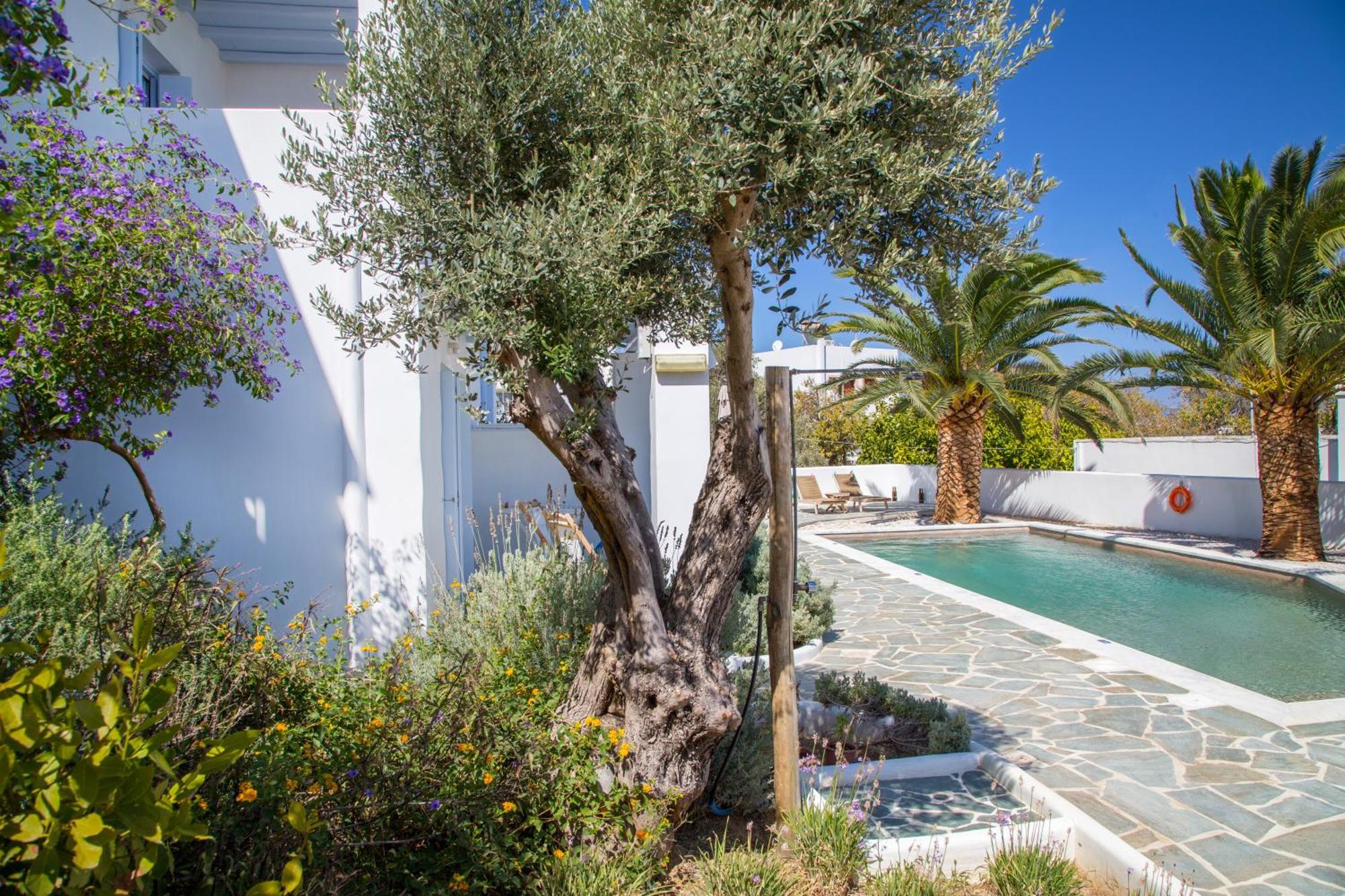 Amphitrite Apartments Skyros Extérieur photo